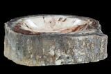 Colorful Polished Petrified Wood Dish - Madagascar #102867-2
